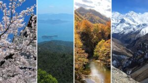 Japanese 72 microseasons